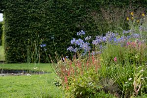 Spring Has Sprung: The Top Activities for Garden Enthusiasts in Laois
