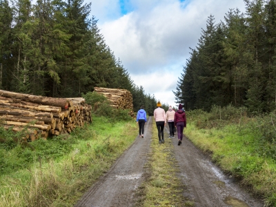 Walks within 5km of Laois Towns