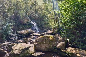 Dive in! Discover Laois’ Wild Swimming Spots