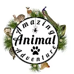 Amazing Animal Adventure